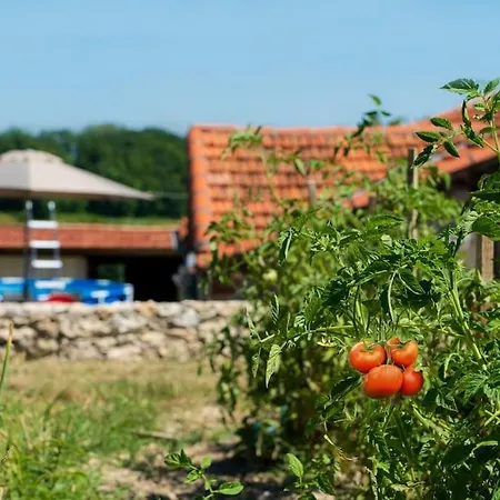 Vakantiehuis La Grange De Rigounet *