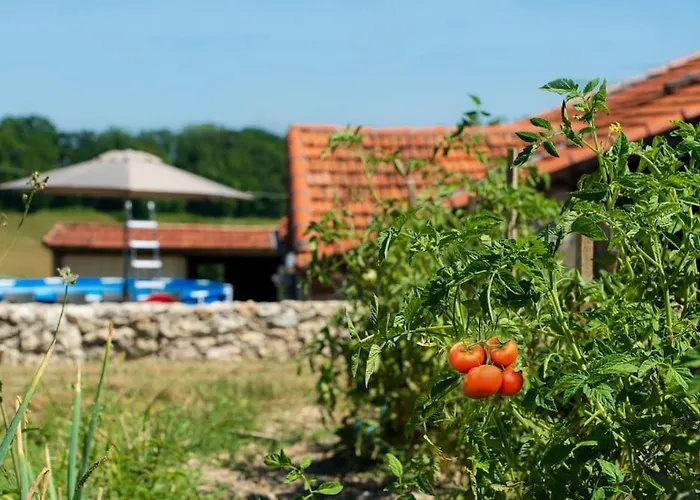 Vakantiehuis La Grange De Rigounet *